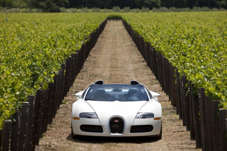  Bugatti Veyron 16.4 Grand Sport Roadster 2008 года  (фото 22 из 186)
